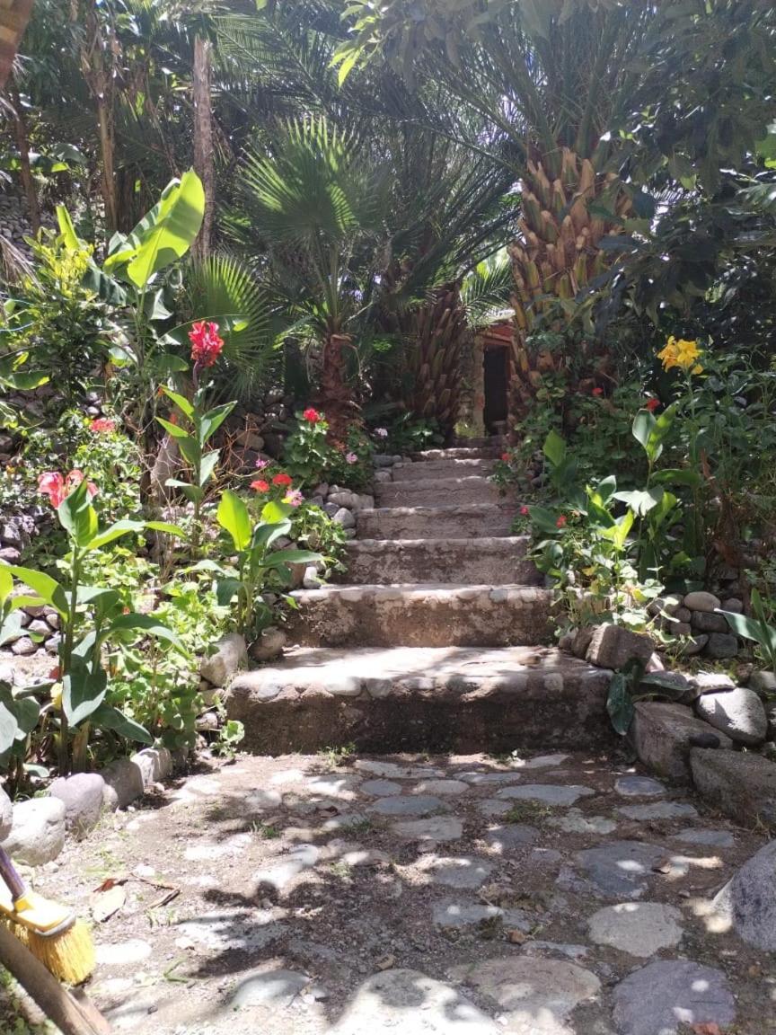 Eden Lodge 卡瓦纳科德 外观 照片